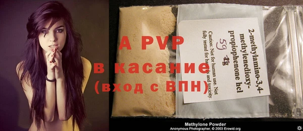 индика Балахна