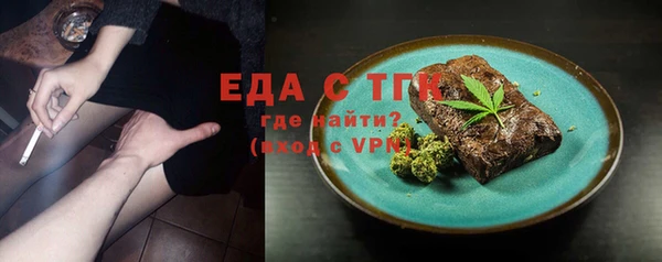 индика Балахна