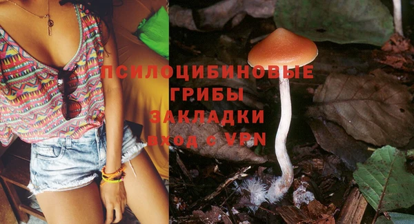 гидра Балабаново