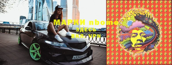 индика Балахна