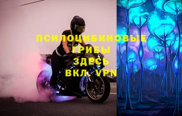 индика Балахна