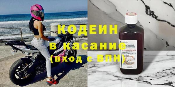 индика Балахна