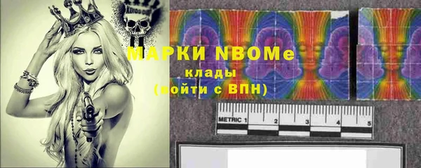 индика Балахна