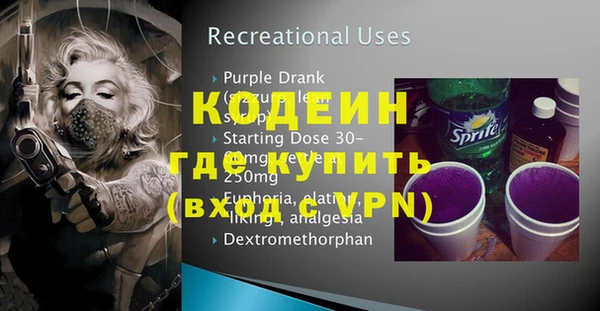 индика Балахна