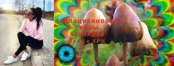 гидра Балабаново