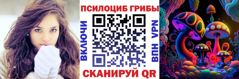 купить закладку нарко площадка какой сайт Галлюциногенные грибы Psilocybe Шагонар