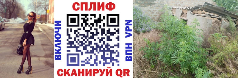 Марихуана SATIVA & INDICA Шагонар